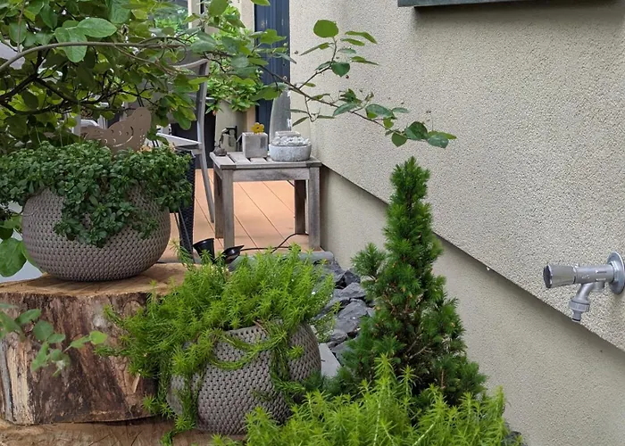 Apartment Taunus Gorsroth